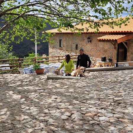 Refugio Dos Cartolas São Mamede de Infesta エクステリア 写真