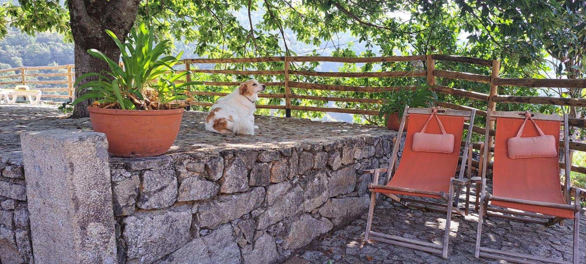 Refugio Dos Cartolas São Mamede de Infesta エクステリア 写真