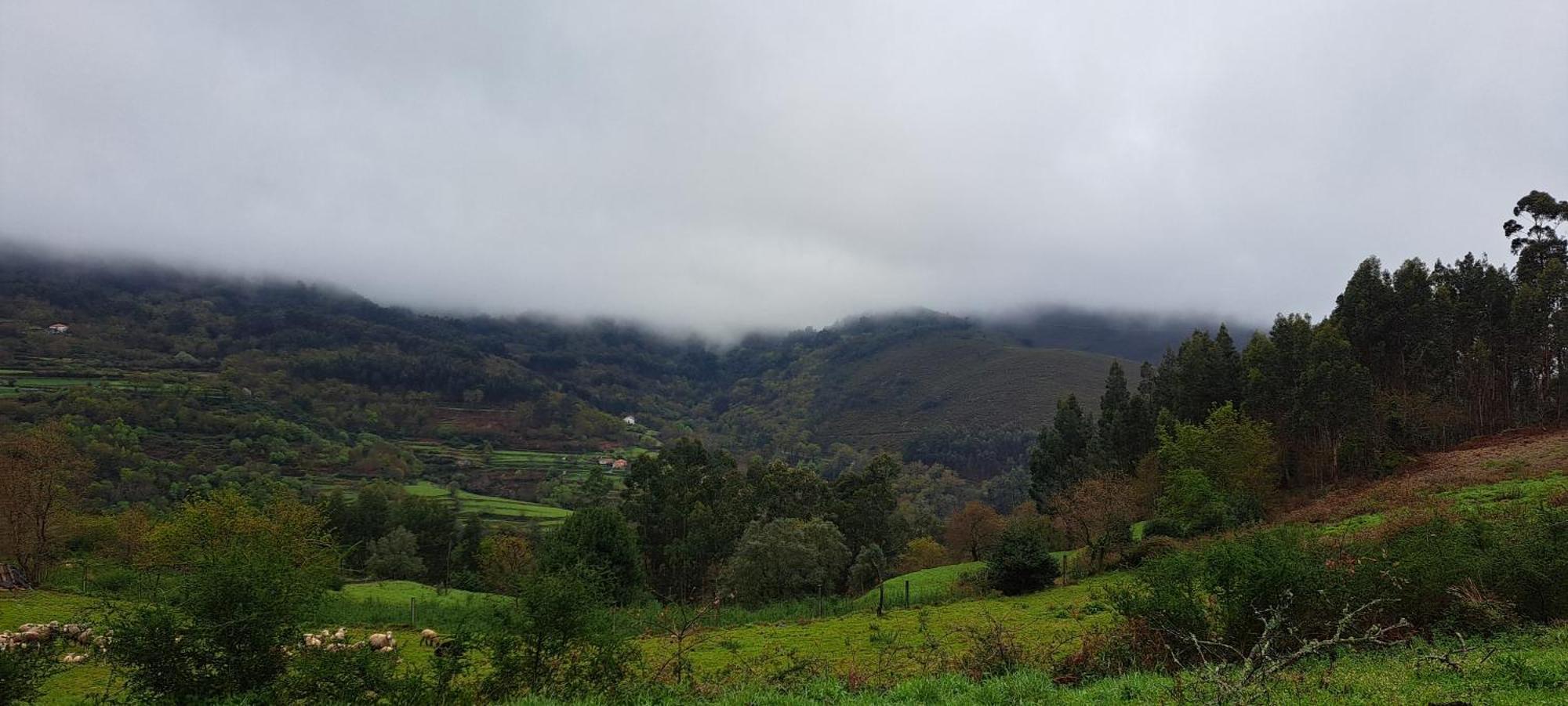 Refugio Dos Cartolas São Mamede de Infesta エクステリア 写真
