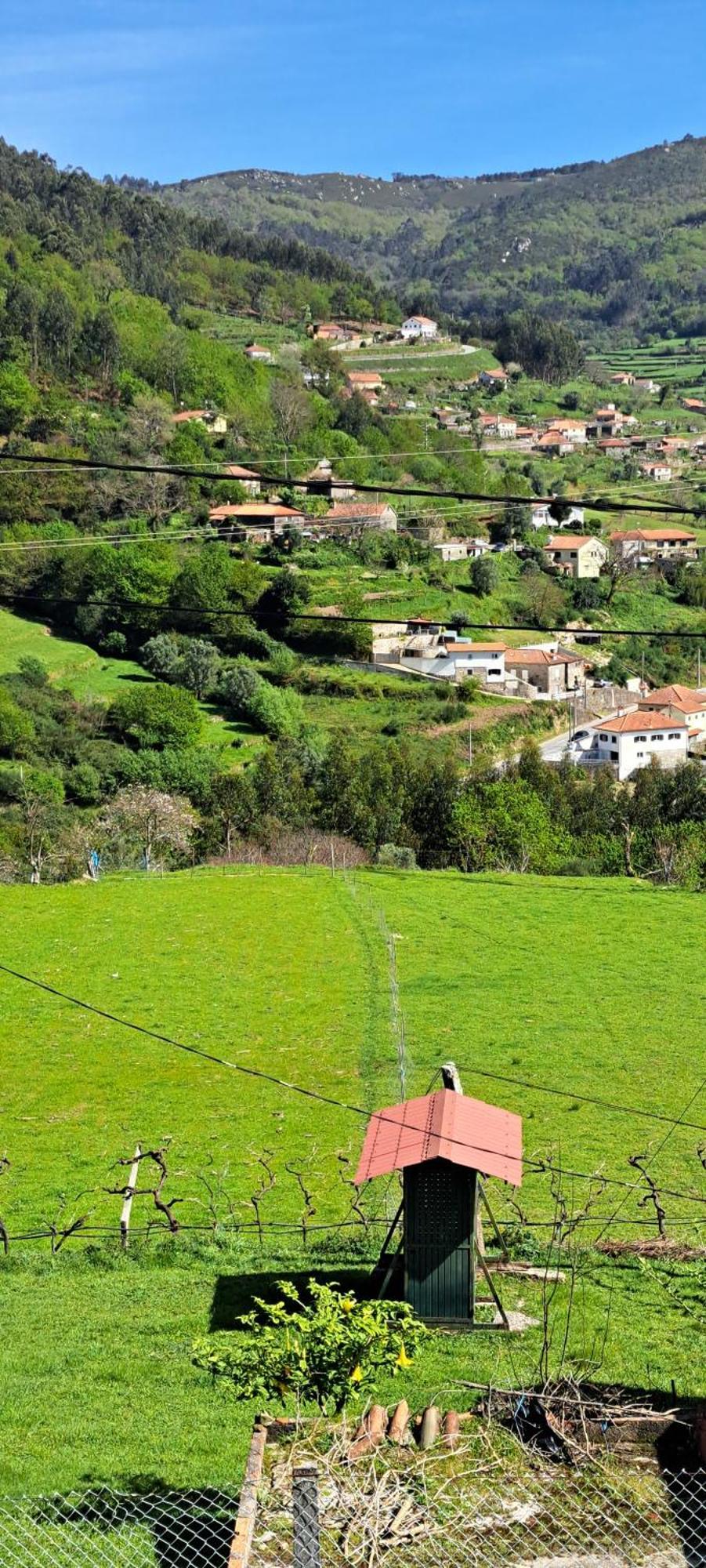 Refugio Dos Cartolas São Mamede de Infesta エクステリア 写真