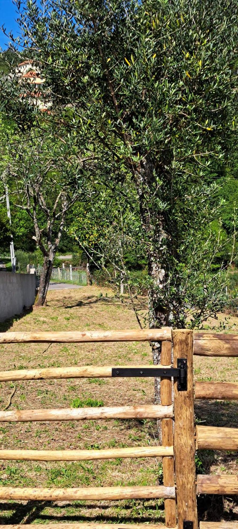 Refugio Dos Cartolas São Mamede de Infesta エクステリア 写真